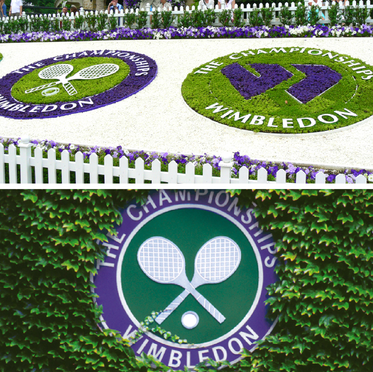 Wimbledon
